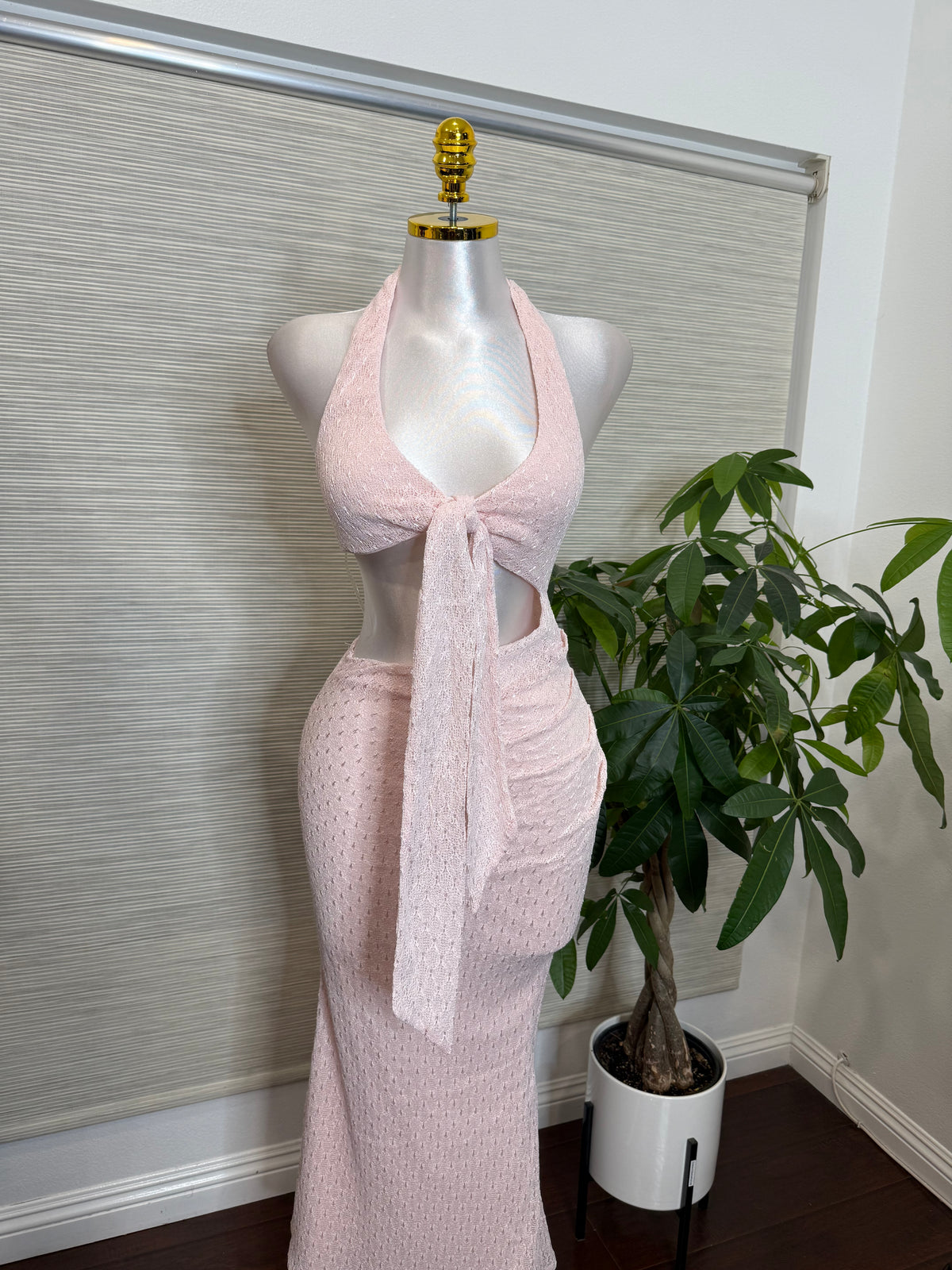 Pretty in Pink Maxi Dress